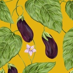 Blooming eggplant on a yellow background