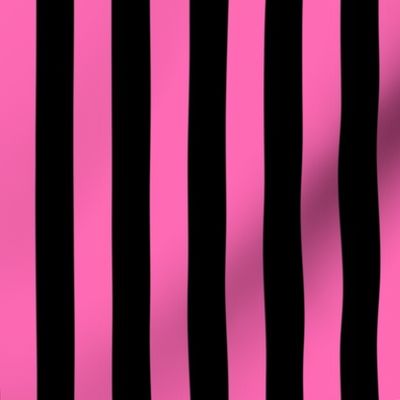 Hot Pink and Black Stripe Pattern