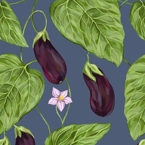 Blooming eggplant on a blue background