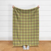 Spring Green Plaid Small