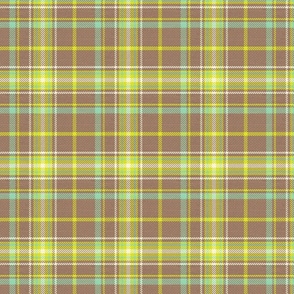 Spring Green Plaid Small