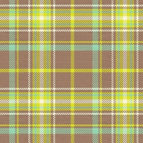 Spring Green Plaid Large