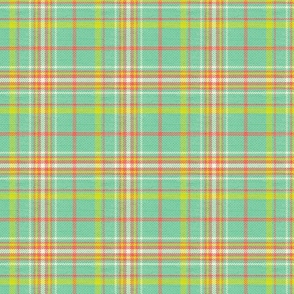 Spring Plaid Small