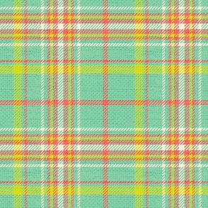 Spring Plaid Large