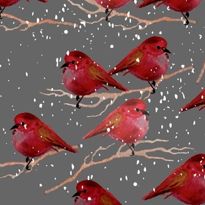 red birds on charcoal, snow