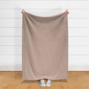 Blush Beige 3 Solid: Rose Beige Solid