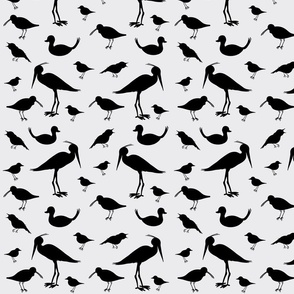 Silhouette of flat hand drawn birds.