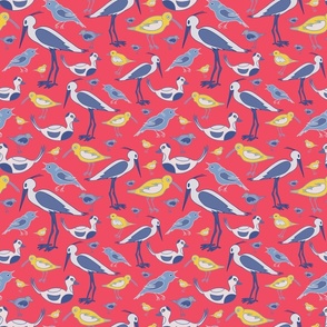 Birds on red