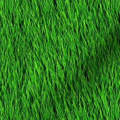 Green Grass Novelty variation