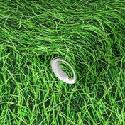 Green Grass Novelty