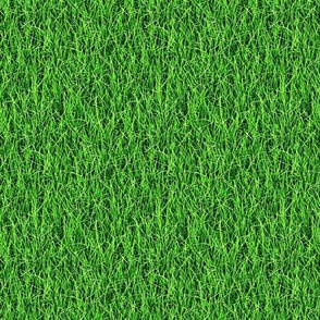 Green Grass Novelty