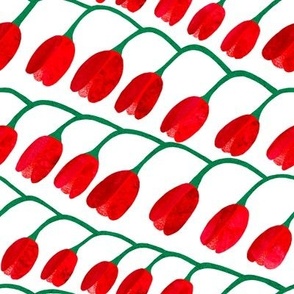 Red tulips in a row on a white background