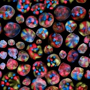Colored balls on a black background 