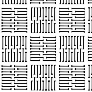 Simple Geometric Squares made of Black and White Bones