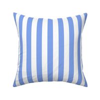 CORNFLOWER STRIPE 1 INCH