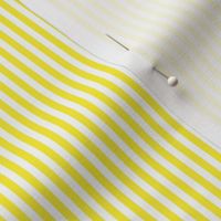 LEMON STRIPE 1-8 INCH