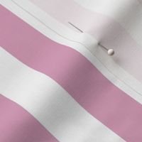 LILAC STRIPE 1 INCH