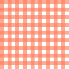 ROUGE GINGHAM 1 INCH