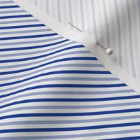 Diagonal Candy Stripe - Blue/Grey