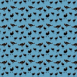 Small Magpie Birds on Blue  - 4.2x4.2in