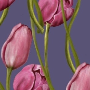 Tulips pink on purple hand drawn_large scale