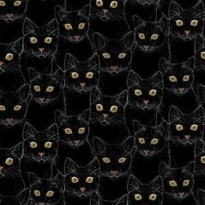 Black Cat Portraits 3x3