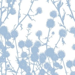 Gently blue herbs 