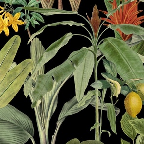 Tropical Jungle Garden Vintage Botanical Pattern On Black Background