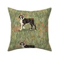 Custom Standing Boston Terrier  Eight to a yard of 42 inch wide fabric
