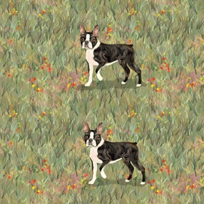 Custom Standing Boston Terrier  Eight to a yard of 42 inch wide fabric