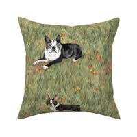 Custom Boston Terriers Eight to a yard of 42 inch wide fabric
