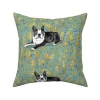 Custom Bella Boston Terrier on Blue and Gold Eight to a yard of 42 inch wide fabric