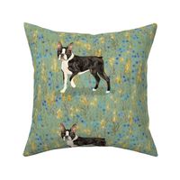 Custom Standing Boston Terrier on Blue and Gold Eight to a yard of 42 inch wide fabric