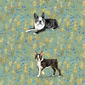 Custom Bella and Standing Boston Terrier on Blue and Gold Eight to a yard of 42 inch wide fabric