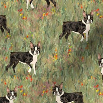 Custom Wildflower Field Multiple Boston Terriers