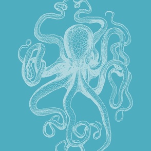 Octopus aqua