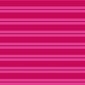 rose red and pink horizontal stripes | medium