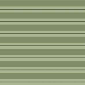 sage green horizontal stripes | medium