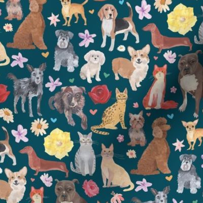 Cats and Dogs Teal SMALL