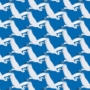 Single flying egret - blue