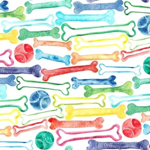 Doggy Bones in Rainbow Watercolors  on White - large