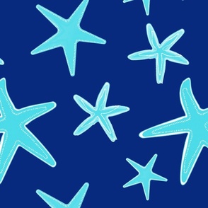 Hues of Blue Starfish