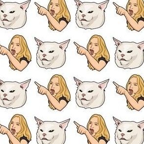 Woman Yelling At Cat Meme RHOBH Taylor Kyle Richards Feline Funny Memes Comedy Humor