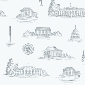 Washington DC Toile in Light Blue & Muted Blue