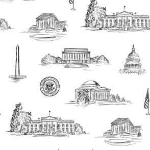 Washington DC Toile in Black & White