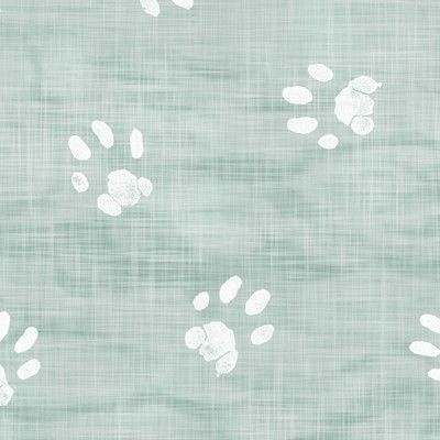 cat and dog paws background