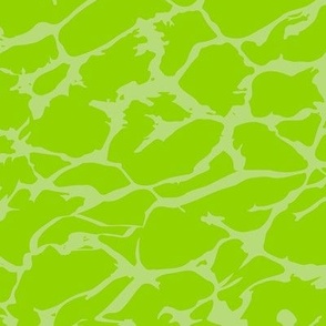 The stylization of sea foam, Light green on a bright green background