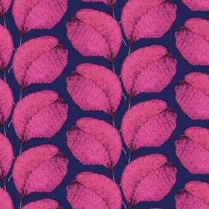 Plump leaves, Pink twigs on a dark blue background