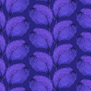 Plump leaves, Blue-violet twigs on a purple background