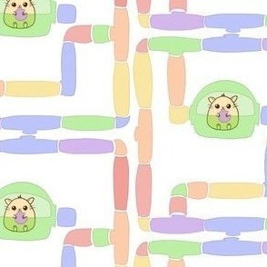 Rainbow Pastel Hamster Maze